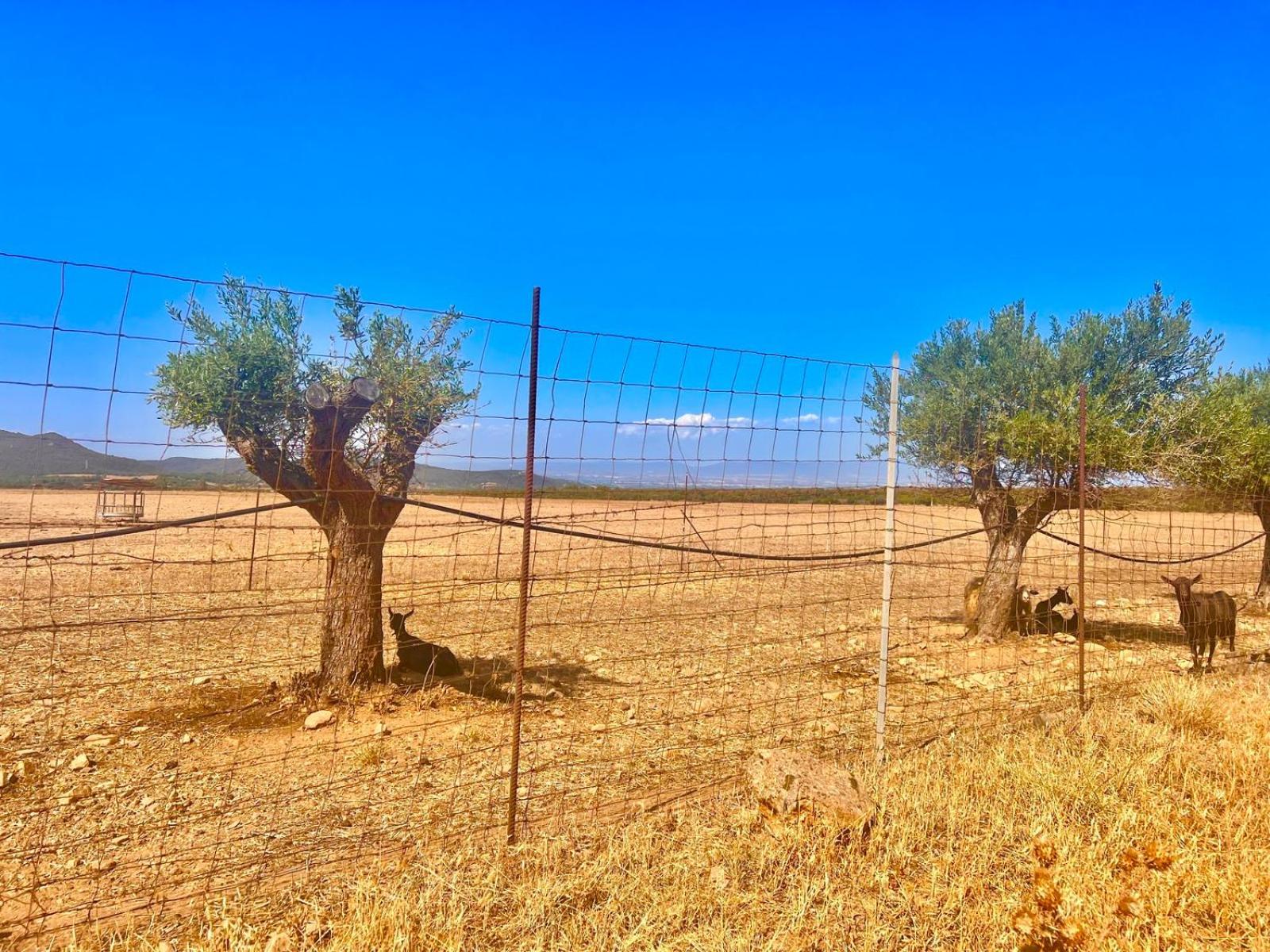 Villetta Sisini - Key To Villas Capoterra Luaran gambar